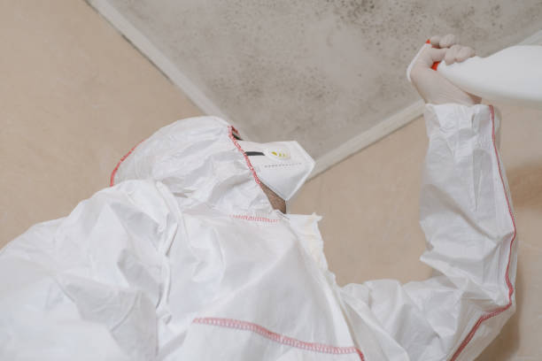 Best Mold Testing and Removal  in Sturtevant, WI